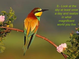 8.- Look at the
sky at least once
a day and realize
in what
magnificent
world you live
 