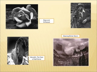 Rose and
Driftwood
Monolith, The Face
of Half Dome
Clearing Winter Storm
 