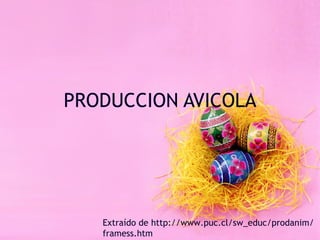 PRODUCCION AVICOLA Extraído de  http://www.puc.cl/sw_educ/prodanim/framess.htm 