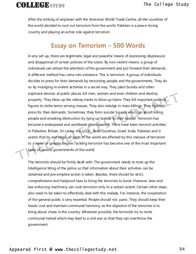 essay on terrorism 2nd year