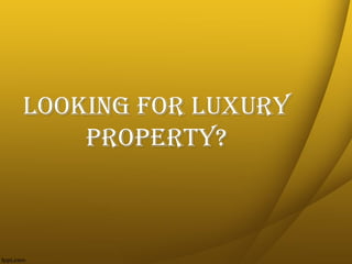 Looking for Luxury
    Property?
 