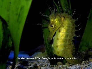 5 - Viva com os 3 E's...Energia, entusiasmo e empatia.
 
