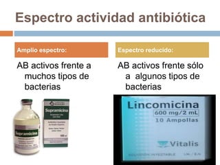 Espectro actividad antibiótica
AB activos frente a
muchos tipos de
bacterias
AB activos frente sólo
a algunos tipos de
bacterias
Amplio espectro: Espectro reducido:
 