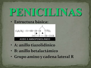 • Estructura básica:
• A: anillo tiazolidínico
• B: anillo betalactámico
• Grupo amino y cadena lateral R
ACIDO 6 AMINOPENICILÁNICO
A
B
PENICILINAS
 