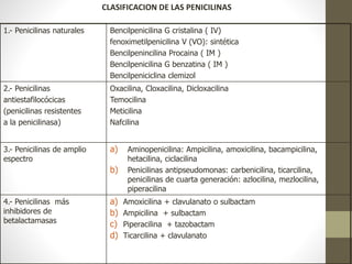 1.- Penicilinas naturales Bencilpenicilina G cristalina ( IV)
fenoximetilpenicilina V (VO): sintética
Bencilpenincilina Procaina ( IM )
Bencilpenicilina G benzatina ( IM )
Bencilpeniciclina clemizol
2.- Penicilinas
antiestafilocócicas
(penicilinas resistentes
a la penicilinasa)
Oxacilina, Cloxacilina, Dicloxacilina
Temocilina
Meticilina
Nafcilina
3.- Penicilinas de amplio
espectro
a) Aminopenicilina: Ampicilina, amoxicilina, bacampicilina,
hetacilina, ciclacilina
b) Penicilinas antipseudomonas: carbenicilina, ticarcilina,
penicilinas de cuarta generación: azlocilina, mezlocilina,
piperacilina
4.- Penicilinas más
inhibidores de
betalactamasas
a) Amoxicilina + clavulanato o sulbactam
b) Ampicilina + sulbactam
c) Piperacilina + tazobactam
d) Ticarcilina + clavulanato
CLASIFICACION DE LAS PENICILINAS
 