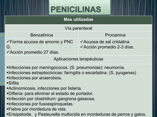 Mas utilizadas
Vía parenteral
Benzatinica Procainica
Forma acuosa de amonio y PNC
G.
Acción promedio 27 días.
Acuosa de sal cristalina
Acción promedio 2-3 días.
Aplicaciones terapéuticas
Infecciones por meningococos. (S. pneumoniae): neumonía.
Infecciones estreptocócicas: faringitis o escarlatina. (S. pyogenes)
Infecciones por anaerobios.
Sífilis
Actinomicosis, infecciones por listeria.
Difteria: para eliminar el estado de portador.
Infección por clostridium: gangrena gaseosa.
Infecciones por fusoespiroquetas.
Fiebre por mordedura de rata.
Erisipeloide. y Pasteurella multocida en mordeduras de perros y gatos.
 