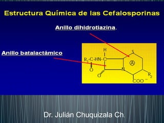 Dr. Julián Chuquizala Ch.
 