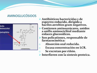 AMINOGLUCÓSIDOS
 Antibióticos bactericidas y de
espectro reducido, dirigido a
bacilos aerobios gram negativos.
 Contienen aminoazúcares, unidos
a anillo aminociclitol mediante
enlaces glucosídicos.
 Son policationes, responsable de
farmacocinética:
o Absorción oral reducida.
o Escasa concentración en LCR.
o Se excretan por riñón.
 Interfieren con la síntesis proteica.
 