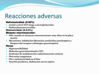 Reacciones adversas
Nefrotoxicidad: (5-20%)
 Lesión a nivel TCP, luego a nivel glomerular.
 Habitualmentereversible.
Ototoxicidad: (0.5-5%)
Bloqueo neuromuscular:
 Sólo cuando se alcanzan concentraciones muy altas en la placa
motriz.
 Mecanismo: Inhibición liberación acetilcolina presináptica y
bloqueo del receptor colinérgico postsináptico
Otros:
 Hipersensibilidad.
 Molestias gastrointestinales (VO)
 Síndrome de malabsorción (administración crónica)
 Discrasias sanguíneas
 Oto y nefrotoxicidad en el feto
 Neuritis periférica, disfunción nervio óptico
 