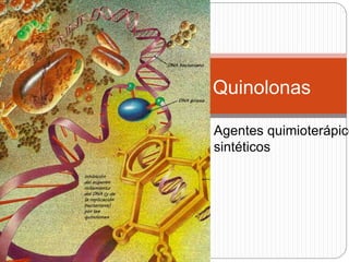 Quinolonas
Agentes quimioterápico
sintéticos
 