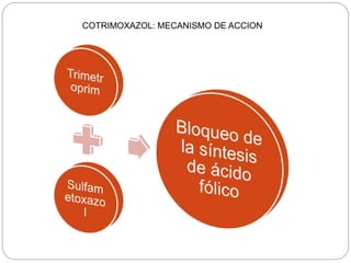 COTRIMOXAZOL: MECANISMO DE ACCION
 