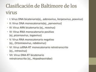 Clasificación de Baltimore de los
virus
• I: Virus DNA bicatenario(ej., adenovirus, herpesvirus, poxvirus)
• II: Virus DNA monocatenario(ej., parvovirus)
• III: Virus ARN bicatenario (ej., reovirus)
• IV: Virus RNA monocatenario positivo
(ej. picornavirus, togavirus)
• V: Virus RNA monocatenario negativo
(ej., Ortomixovirus, rabdovirus)
• VI: Virus ssRNA-RT monocatenario retrotranscrito
(ej., retrovirus)
• VII: Virus DNA-RT bicatenario
retrotranscrito (ej., Hepadnaviridae)
 