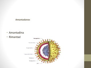 • Amantadina
• Rimantadina
Amantadanos
 