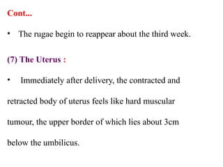 Cont...
• The rugae begin to reappear about the third week.
(7) The Uterus :
• Immediately after delivery, the contracted and
retracted body of uterus feels like hard muscular
tumour, the upper border of which lies about 3cm
below the umbilicus.
 