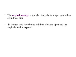 • The vaginal passage is a pocket irregular in shape, rather than
cylindrical tube
• In women who have borne children labia are open and the
vaginal canal is exposed
 