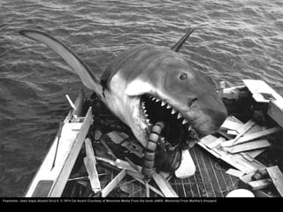 40 years of Spielberg's Jaws 