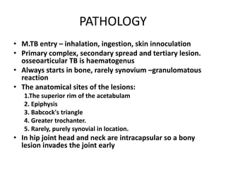 PATHOLOGY
• M.TB entry – inhalation, ingestion, skin innoculation
• Primary complex, secondary spread and tertiary lesion.
osseoarticular TB is haematogenus
• Always starts in bone, rarely synovium –granulomatous
reaction
• The anatomical sites of the lesions:
1.The superior rim of the acetabulam
2. Epiphysis
3. Babcock's triangle
4. Greater trochanter.
5. Rarely, purely synovial in location.
• In hip joint head and neck are intracapsular so a bony
lesion invades the joint early
 