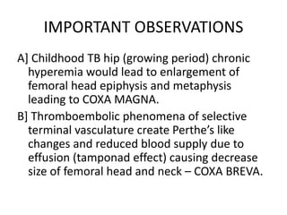 IMPORTANT OBSERVATIONS
A] Childhood TB hip (growing period) chronic
hyperemia would lead to enlargement of
femoral head epiphysis and metaphysis
leading to COXA MAGNA.
B] Thromboembolic phenomena of selective
terminal vasculature create Perthe’s like
changes and reduced blood supply due to
effusion (tamponad effect) causing decrease
size of femoral head and neck – COXA BREVA.
 