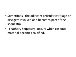 • Sometimes , the adjacent articular cartilage or
disc gets involved and becomes part of the
sequestra.
• ‘ Feathery Sequestra’ occurs when caseous
material becomes calcified.
 