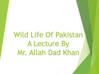 41. wild life of pakistan A Presentation By Mr. Allah dad Khan Visiting ...