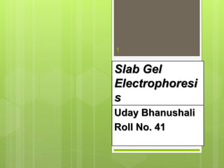 Slab Gel
Electrophoresi
s
1
 