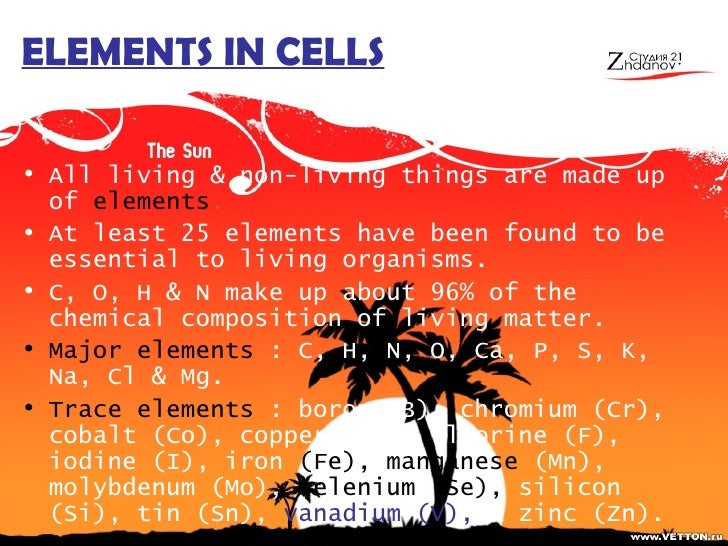 form 4 biology chap 4 pt1