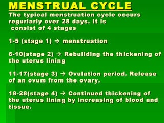 MENSTRUAL CYCLE
The typical menstruation cycle occurs
regurlarly over 28 days. It is
 consist of 4 stages

1-5 (stage 1)  menstruation

6-10(stage 2)  Rebuilding the thickening of
the uterus lining

11-17(stage 3)  Ovulation period. Release
of an ovum from the ovary.

18-28(stage 4)     Continued thickening of
the uterus lining   by increasing of blood and
tissue.
 