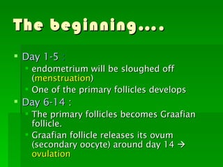 The beginning….
 Day 1-5 :
   endometrium will be sloughed off
    (menstruation)
   One of the primary follicles develops
 Day 6-14 :
   The primary follicles becomes Graafian
    follicle.
   Graafian follicle releases its ovum
    (secondary oocyte) around day 14 
    ovulation
 