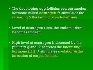  The developing egg follicles secrete another
  hormone called oestrogen  stimulates the
  repairing & thickening of endometrium.

 Level of oestrogen rises, the endometrium
  becomes thicker.

 High level of oestrogen is detected by the
  pituitary gland  secretes the luteinising
  hormone (LH)  stimulates ovulation & the
  formation of corpus luteum,
 