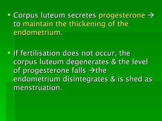  Corpus luteum secretes progesterone 
  to maintain the thickening of the
  endometrium.

 If fertilisation does not occur, the
  corpus luteum degenerates & the level
  of progesterone falls the
  endometrium disintegrates & is shed as
  menstruation.
 