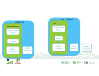 The global landscape of projects to reduce emissions from deforestation ...