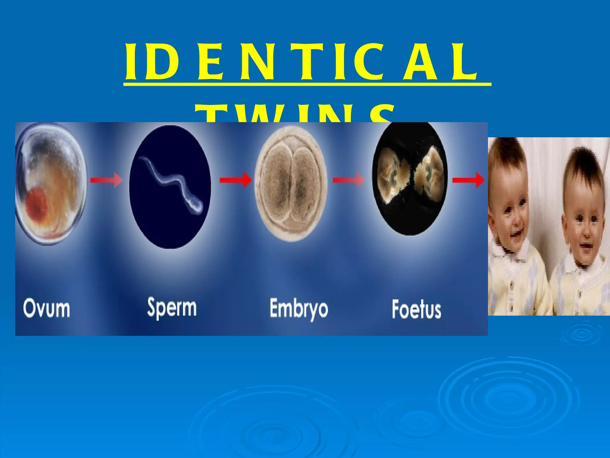 ID E N T IC A L
   T W IN S
 