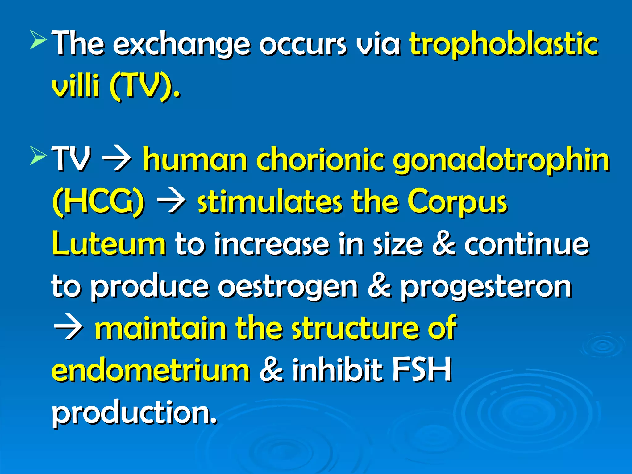  The exchange occurs via trophoblastic
 villi (TV).
 TV  human chorionic gonadotrophin
 (HCG)  stimulates the Corpus
 Luteum to increase in size & continue
 to produce oestrogen & progesteron
  maintain the structure of
 endometrium & inhibit FSH
 production.
 