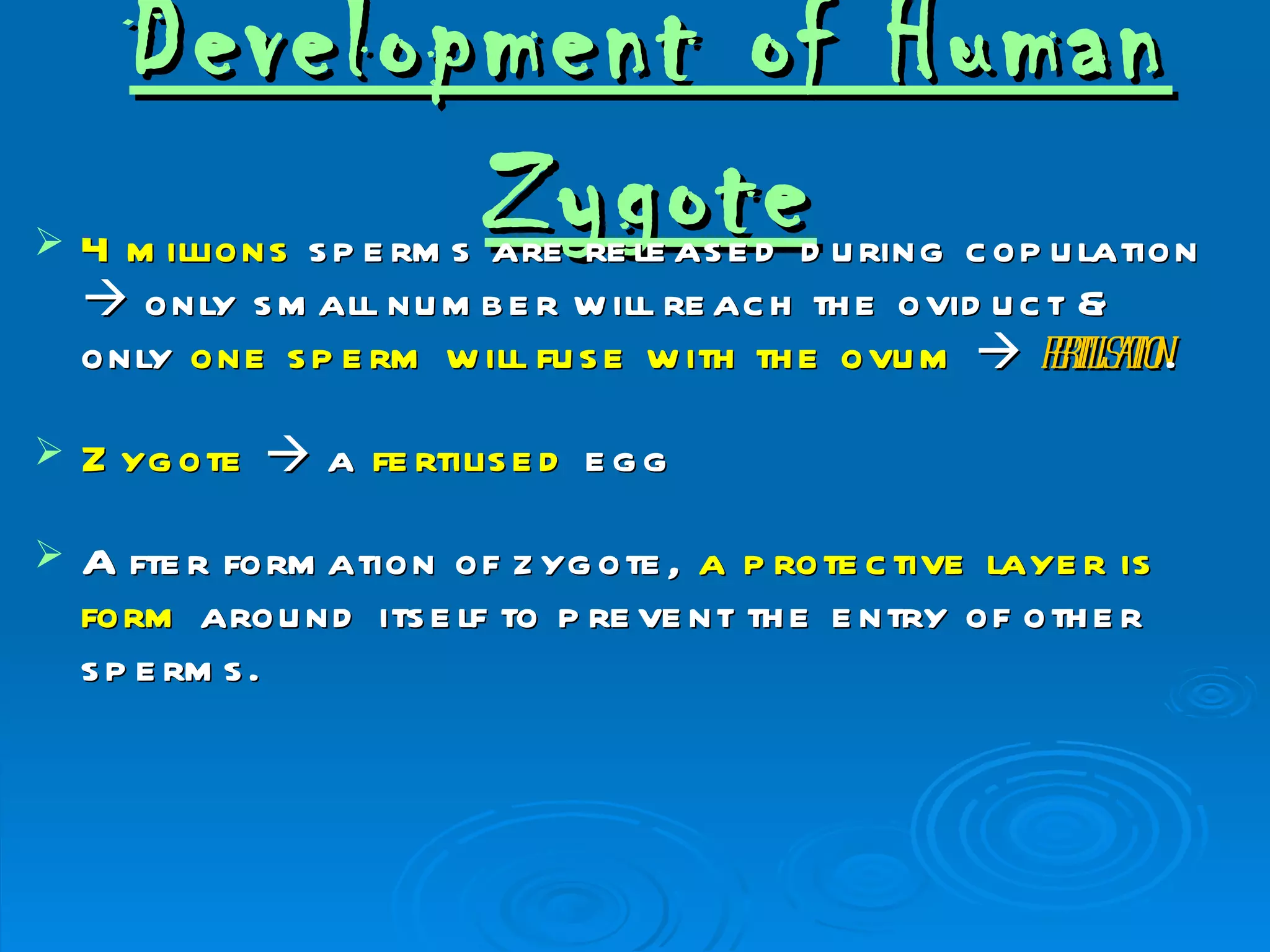 Development of Human

             Zygote
    4 m illions s p e rm s are re le as e d d u ring c op u lation
     only s m all nu m b e r w ill re ac h th e ovid u c t &
    only one s p e rm w ill fu s e w ith th e ovu m  fril aio .
                                                          etist n
   Z yg ote  a fe rtilis e d e g g
   A fte r form ation of z yg ote , a p rote c tive laye r is
    form arou nd its e lf to p re ve nt th e e ntry of oth e r
    s p e rm s .
 