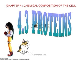 CHAPTER 4 : CHEMICAL COMPOSITION OF THE CELL
 