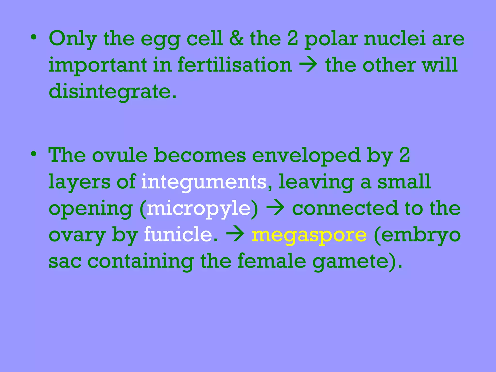 • Only the egg cell & the 2 polar nuclei are
  important in fertilisation  the other will
  disintegrate.

• The ovule becomes enveloped by 2
  layers of integuments, leaving a small
  opening (micropyle)  connected to the
  ovary by funicle.  megaspore (embryo
  sac containing the female gamete).
 