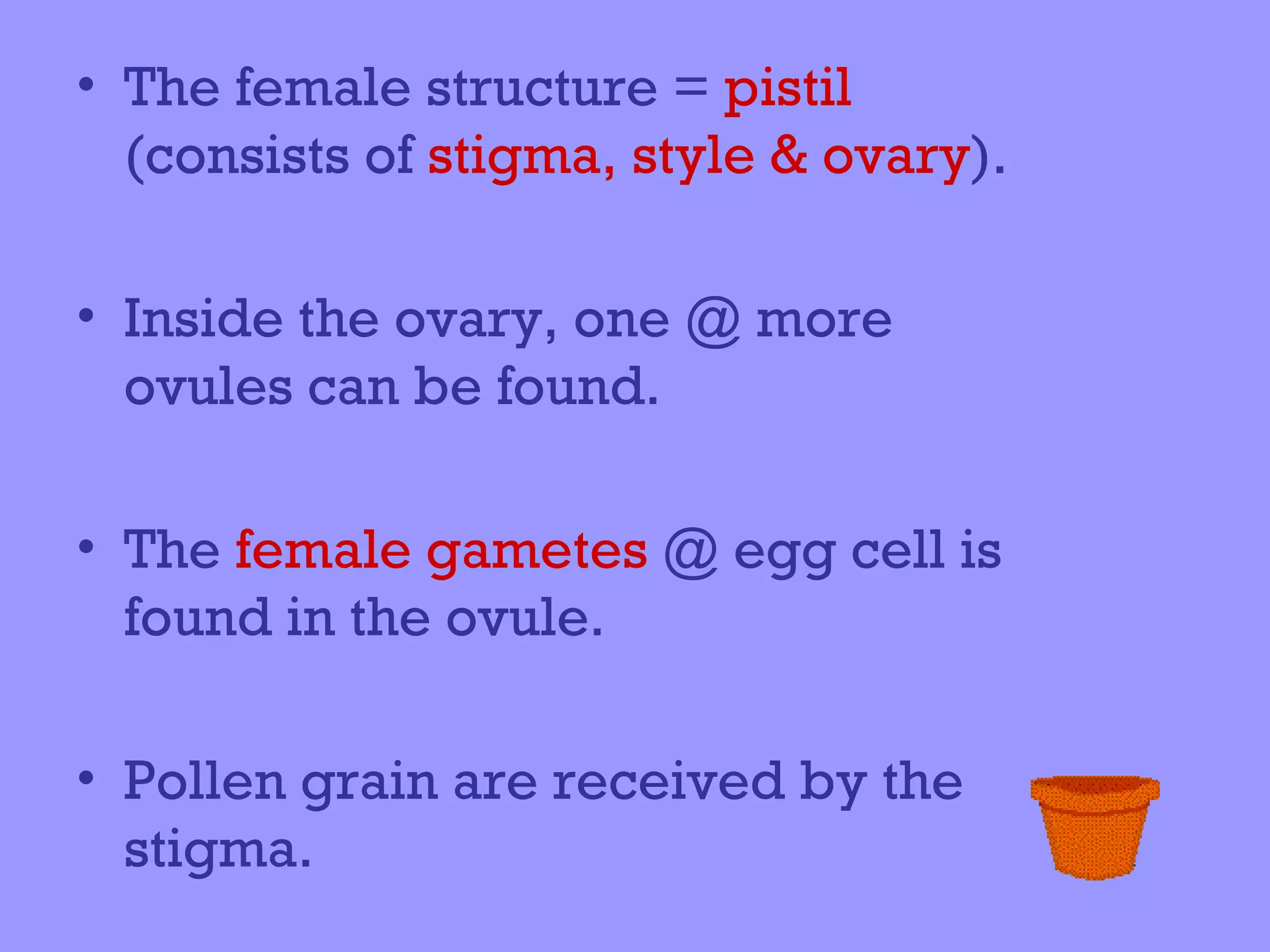 • The female structure = pistil
  (consists of stigma, style & ovary).

• Inside the ovary, one @ more
  ovules can be found.

• The female gametes @ egg cell is
  found in the ovule.

• Pollen grain are received by the
  stigma.
 