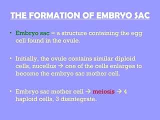 4[1].5 FORM 5 | PPT
