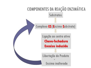 COMPONENTES DA REAÇÃO ENZIMÁTICA
Substratos
Complexo ES (Enzima-Substrato)
Ligação ao centro ativo
Chave-fechadura
Encaixe induzido
Libertação do Produto
+
Enzima inalterada
 