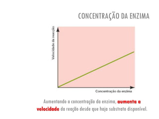 CONCENTRAÇÃO DA ENZIMA
Aumentando a concentração da enzima, aumenta a
velocidade da reação desde que haja substrato disponível.
 