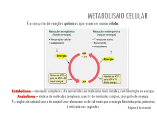 METABOLISMO CELULAR
Catabolismo – moléculas complexas são convertidas em moléculas mais simples, com libertação de energia.
Anabolismo – síntese de moléculas complexas a partir de moléculas simples, com gasto de energia.
As reações de catabolismo e de anabolismo relacionam-se de tal modo que a energia libertada pelas primeiras
é utilizada nas segundas.
É o conjunto de reações químicas que ocorrem numa célula.
Página 8 do manual
 