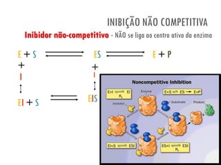 INIBIÇÃO NÃO COMPETITIVA
E + S ES E + P
EI + S
+
I
+
I
EIS
Inibidor não-competitivo - NÃO se liga ao centro ativo da enzima
 