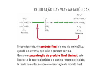 REGULAÇÃO DAS VIAS METABÓLICAS
Frequentemente, é o produto final de uma via metabólica,
quando em excesso, que inibe a primeira enzima.
Quando a concentração do produto final diminui, este
liberta-se do centro alostérico e a enzima retoma a atividade,
fazendo aumentar de novo a concentração do produto final.
 