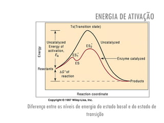 ENERGIA DE ATIVAÇÃO
Diferença entre os níveis de energia do estado basal e do estado de
transição
 