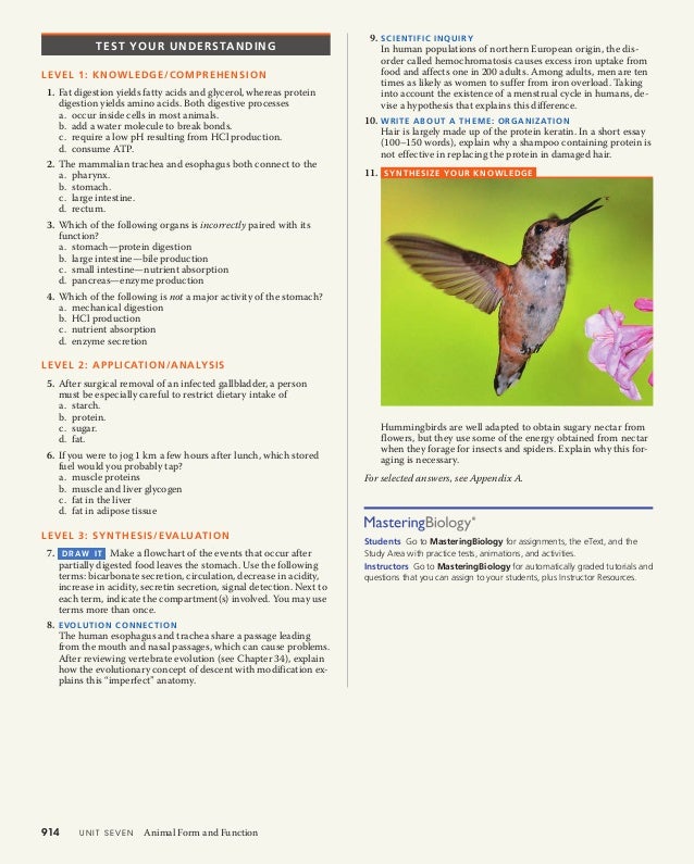 41 Animal Nutrition - 