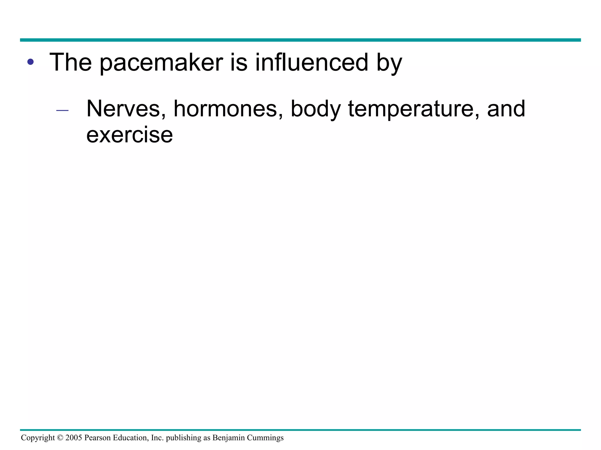 The pacemaker is influenced by Nerves, hormones, body temperature, and exercise 