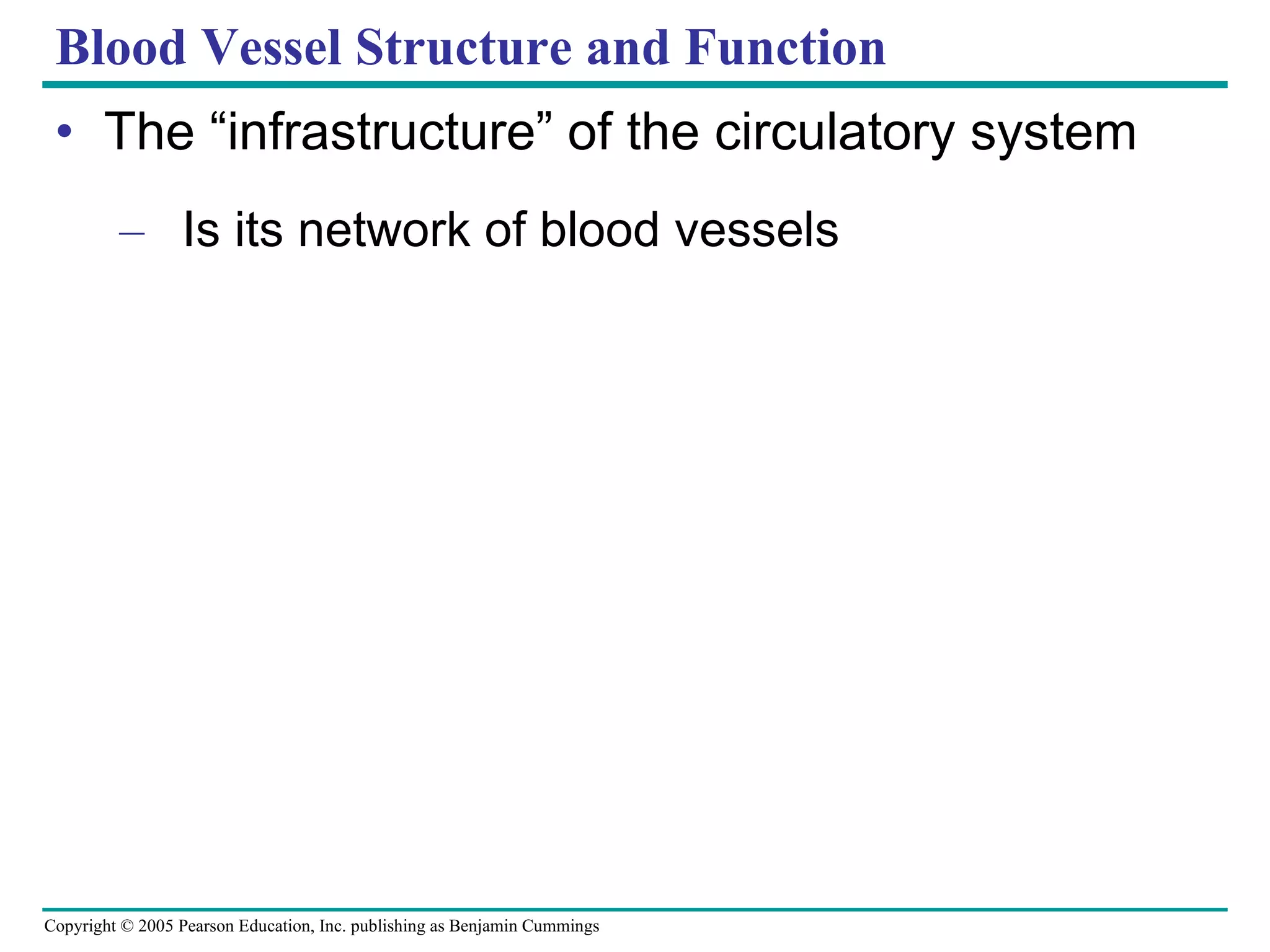 Blood Vessel Structure and Function The “infrastructure” of the circulatory system Is its network of blood vessels 