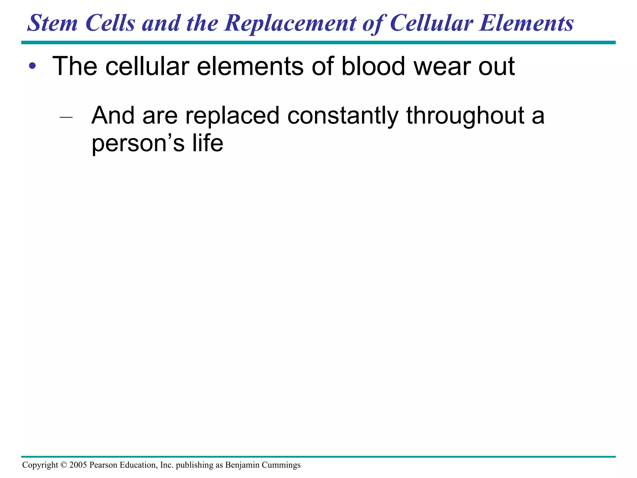 Stem Cells and the Replacement of Cellular Elements The cellular elements of blood wear out And are replaced constantly throughout a person’s life 
