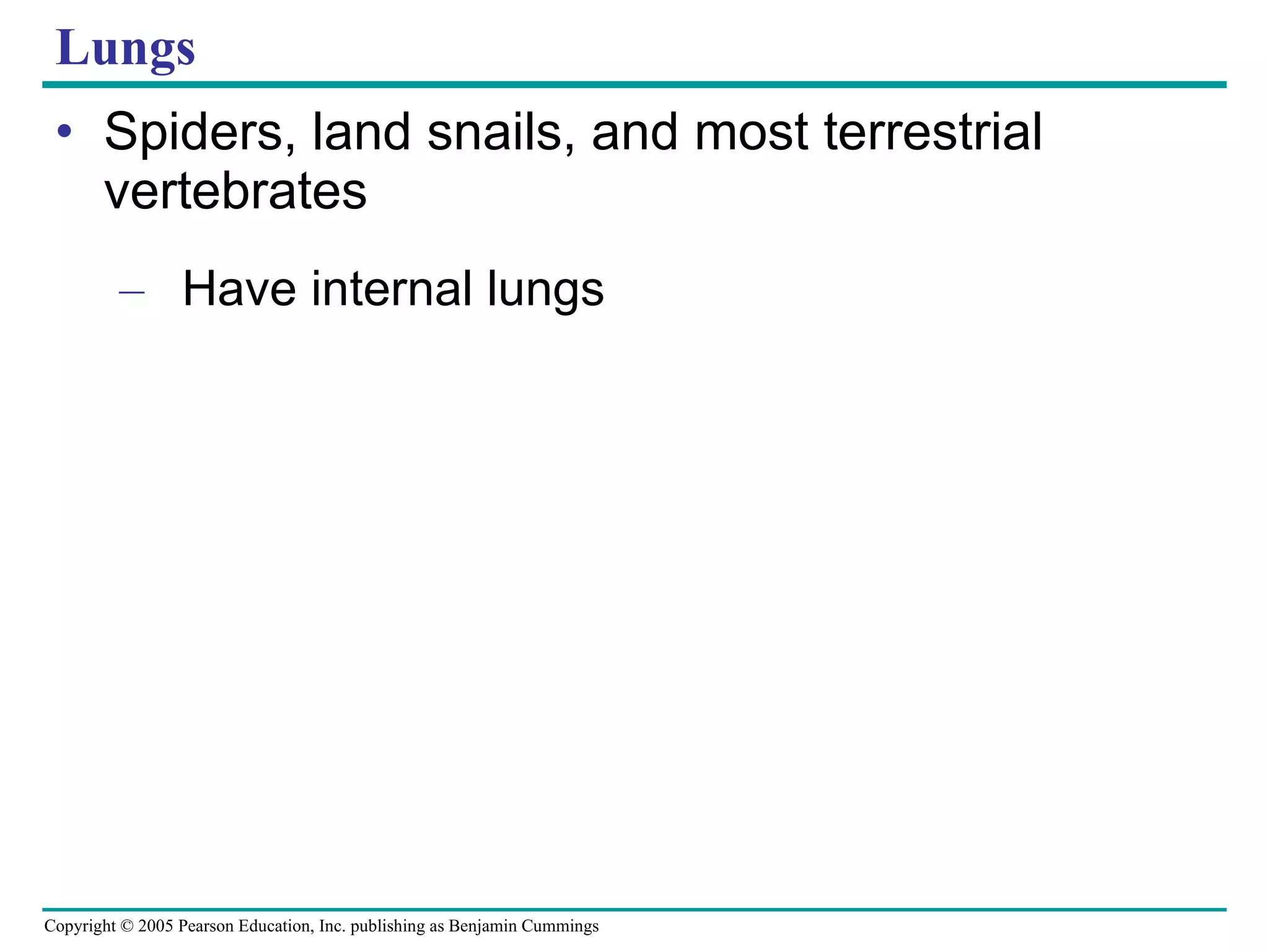 Lungs Spiders, land snails, and most terrestrial vertebrates Have internal lungs 