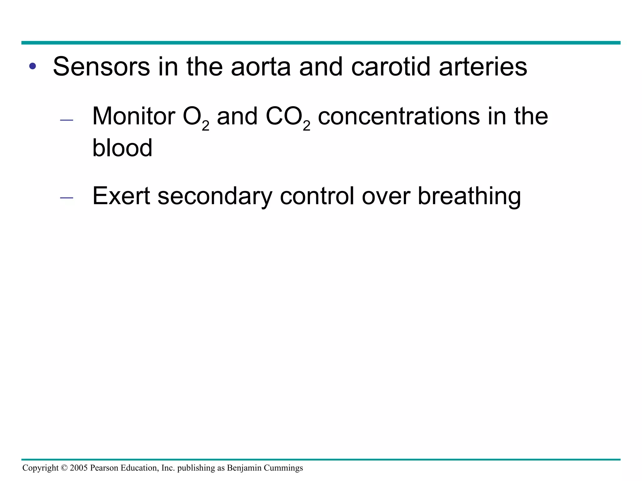 Sensors in the aorta and carotid arteries Monitor O 2  and CO 2  concentrations in the blood Exert secondary control over breathing 